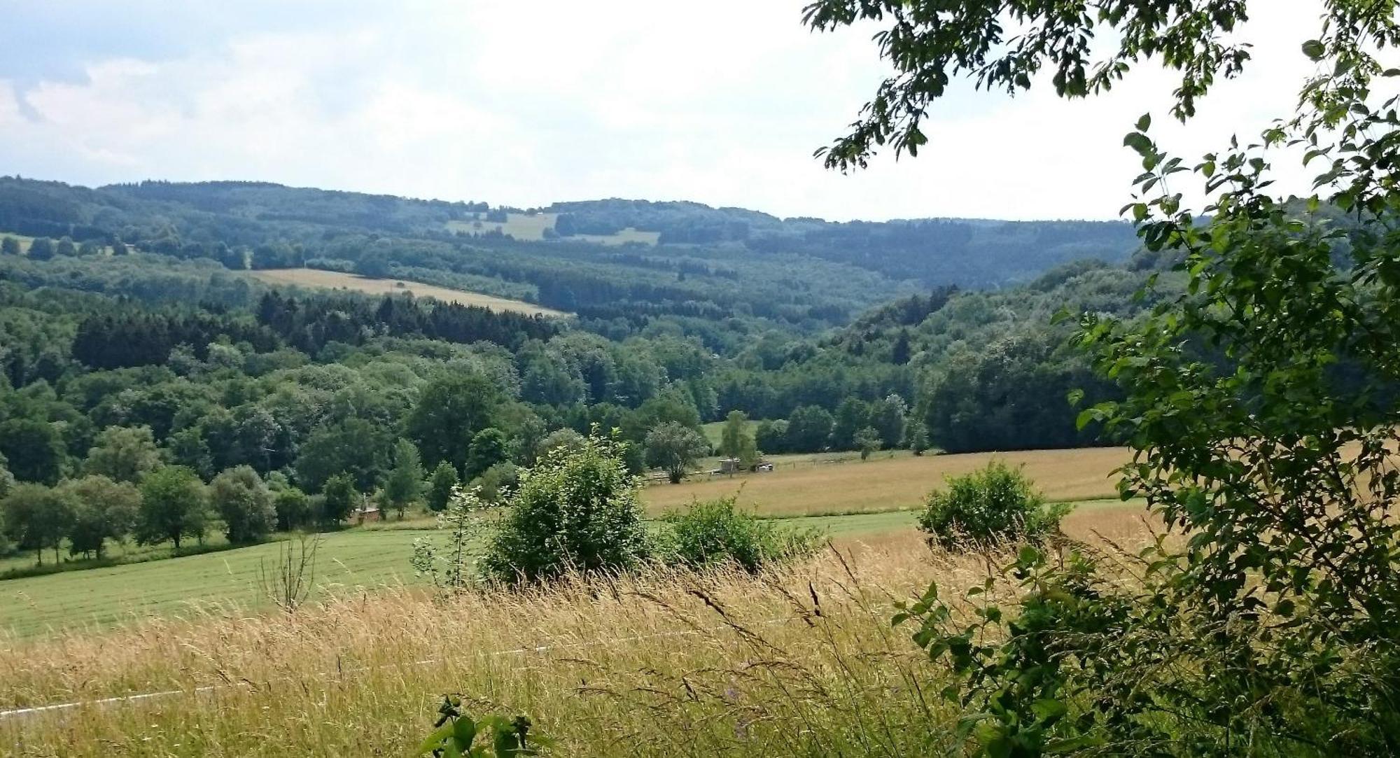 Ferienhaus Zur Schoenen Aussicht Hardt  Bagian luar foto